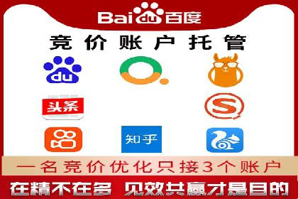 行业领先企业的SEM竞价代运营成功案例揭秘